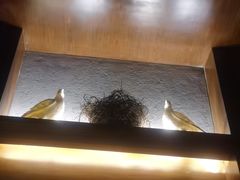 -骑士KTV(红谷滩万达店)