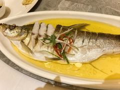 -老绍兴养和饭店(向阳不夜城店)