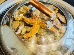 -锅老头海鲜铁锅炖
