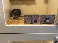 -龙猫仔乐园(惠福东路店)