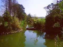 -上海长兴岛郊野公园