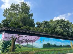 -苏州上方山国家森林公园