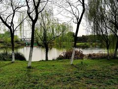 -九里河湿地公园