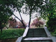 -西安市长乐公园