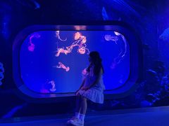-海合安成都极地海洋公园