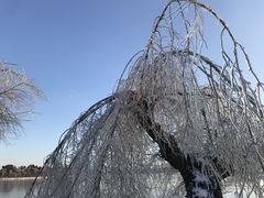 -长春市南湖公园