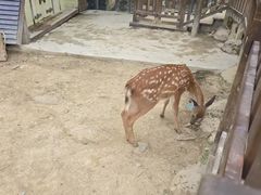 -杭州千岛湖开元度假村