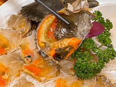 -官塘陈记鱼生·潮汕砂锅粥·牛肉火锅(潮枫路总店)