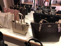 -COACH蔻驰(百联奥特莱斯广场店)