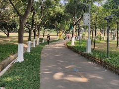 -紫马岭公园
