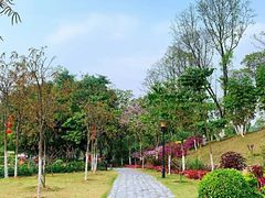 -东莞植物园
