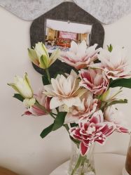 -Dr.林醫生产后修复·超级店(南京江宁同曦店)
