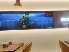 -老板恋上鱼(印象城店)