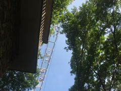-木兰云雾山