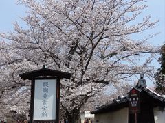 -醍醐寺