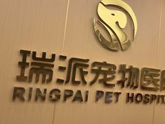 -瑞派康怡24h宠物医院·犬猫医疗中心·微创绝育(瑞景分院)