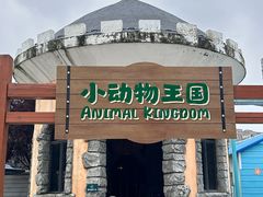 -海合安武汉极地海洋公园