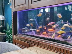 -Golden Lily河内巴黎法越料理餐厅(建国西路店)