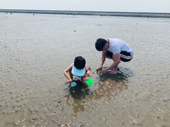 -南汇嘴观海公园