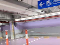 -上海浦东国际机场T1航站楼-P1停车场