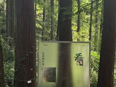 -波尔登森林公园
