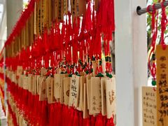 -三亚南山文化旅游区