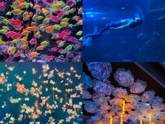 -威海华夏城景区