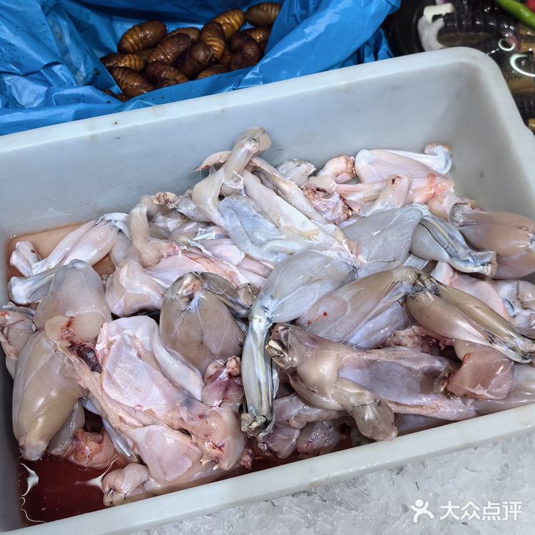 今天我要带你们探索一家超赞的海鲜大排档