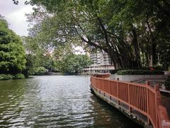 -荔湾湖公园