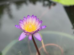 -龙华寺