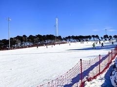 -棋盘山冰雪大世界