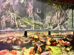 -太平洋海底世界