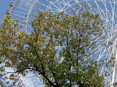 -南昌之星游乐场