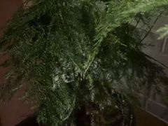 -足本纪·足道 SPA 简餐 小吃(文三西路店)