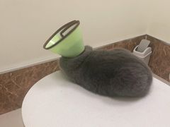 -美联众合24小时·皮肤科·外科·全科诊疗中心(华苑分院)