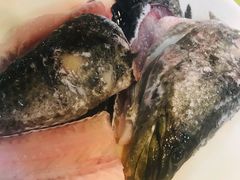 -活鱼馆(宜兴埠店)