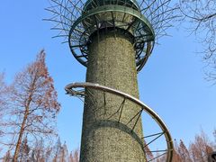 -黄海国家森林公园