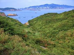 -枸杞岛
