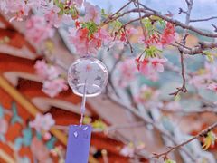 -宝墨园景区