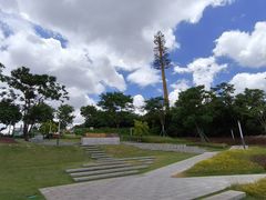 -红花山公园