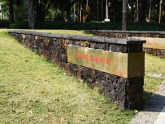 -王借岗森林公园
