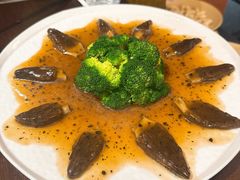 -滇野云南野生菌餐厅(陕西南路店)