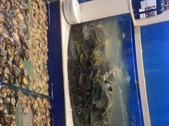 -海天盛宴新派海鲜自助餐厅(群力店)