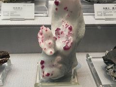 -湖南省地质博物馆