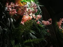 -南城十里潮汕鲜牛火锅·鲜虾生滚粥(融汇老商埠店)