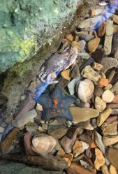 -钓虾工场·钓虾·赶海(回龙观店)