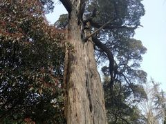 -青岛崂山太清宫