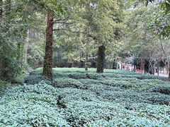 -宝岩生态观光园