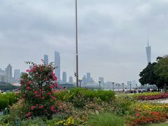 -珠江夜游广州塔·中大码头