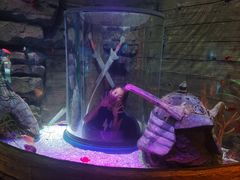 -沈阳海洋探索中心